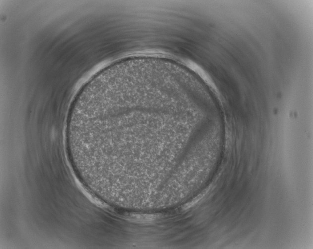 X0000086031237200704201938