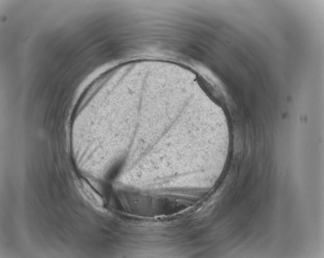 X0000086031238200704201938