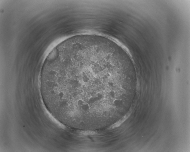 X0000086031239200704201938