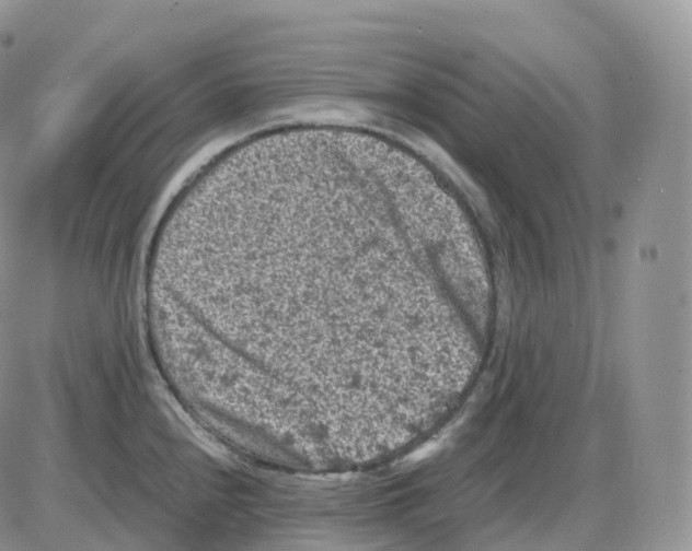 X0000086031240200704201938