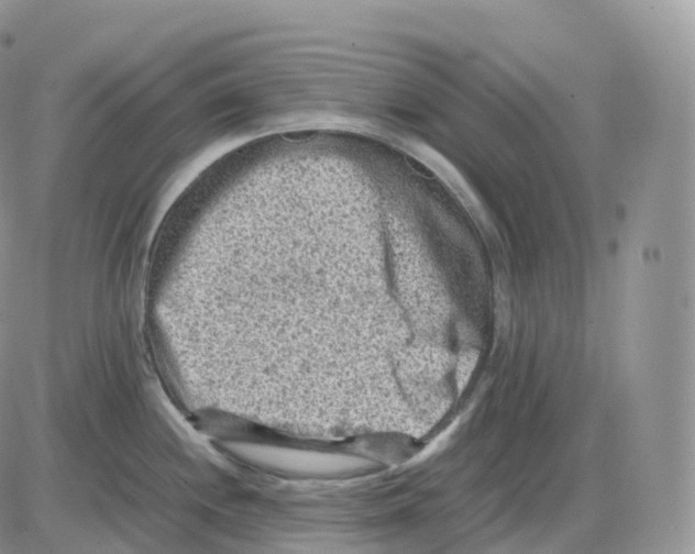 X0000086031244200704201938