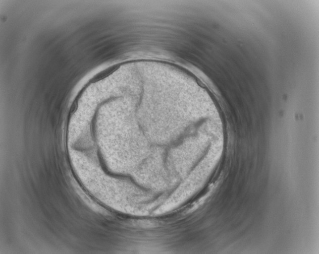 X0000086031246200704201938