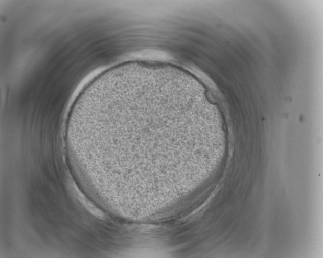 X0000086031248200704201938