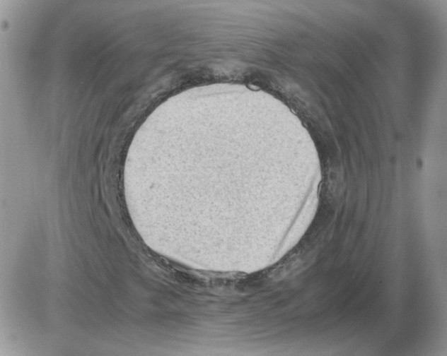 X0000086031249200704201937