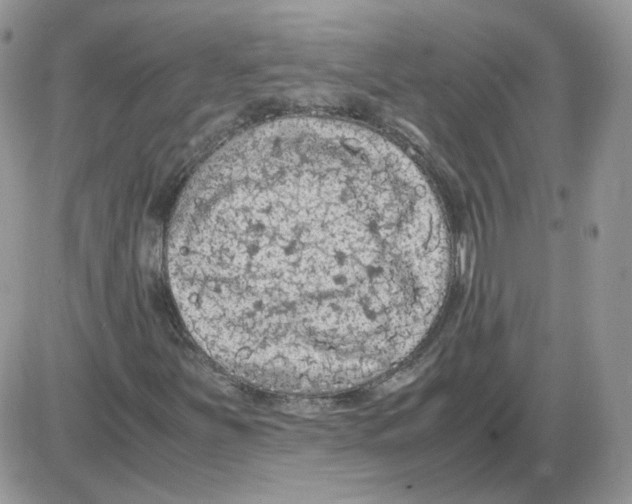 X0000086031251200704201937