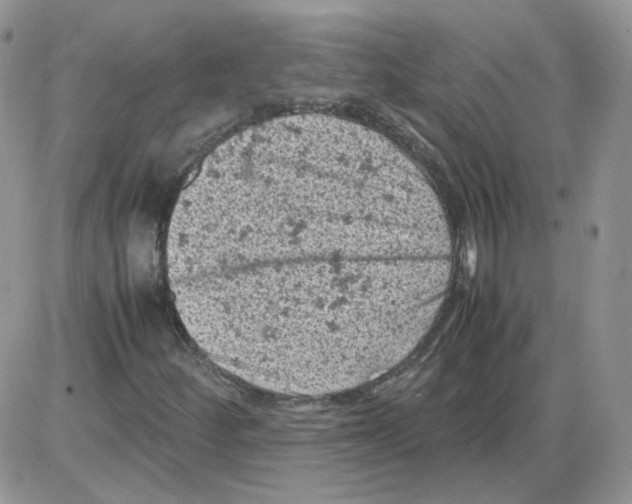 X0000086031252200704201937