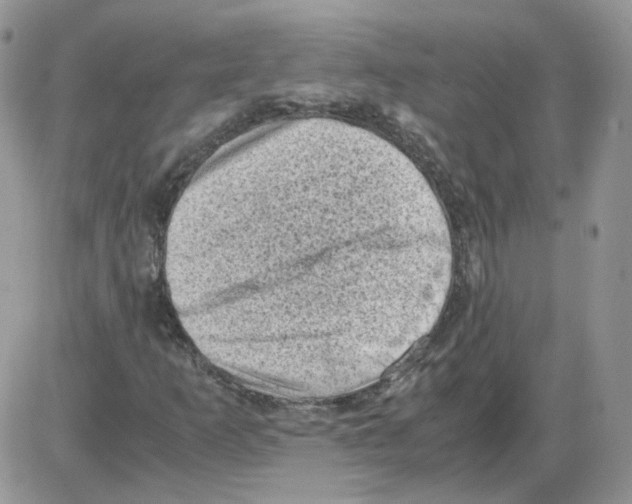 X0000086031253200704201937