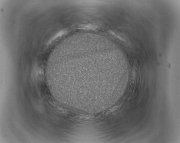 X0000086031254200704201937