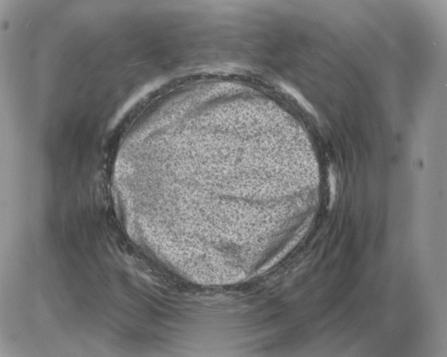 X0000086031256200704201937