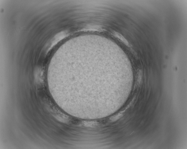 X0000086031258200704201937