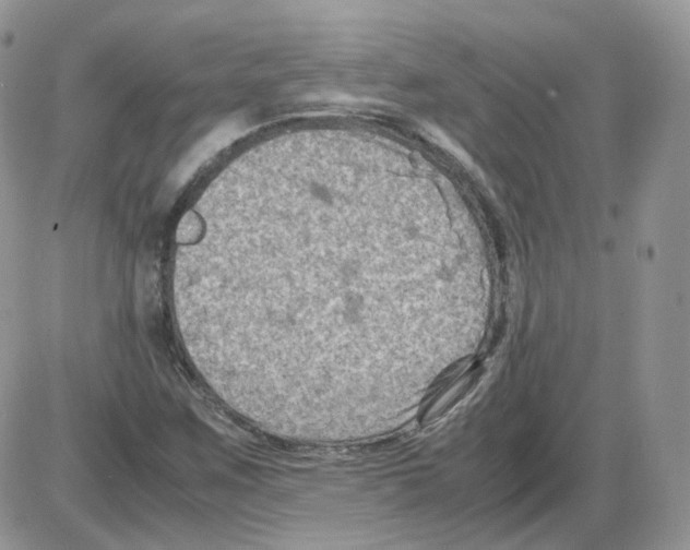 X0000086031259200704201937