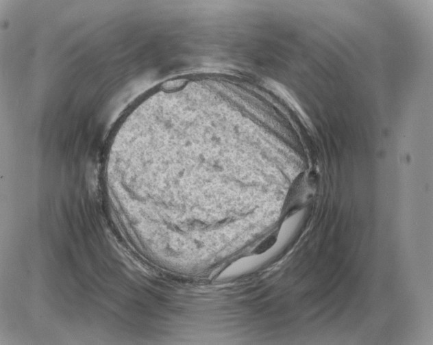 X0000086031260200704201937