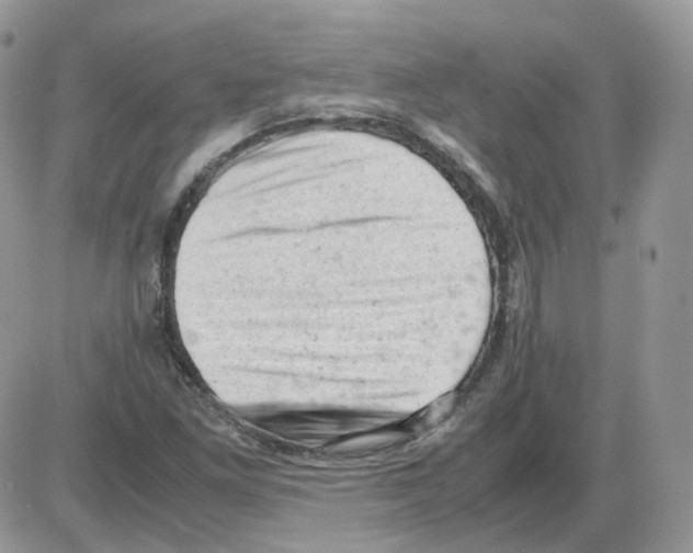 X0000086031261200704201937