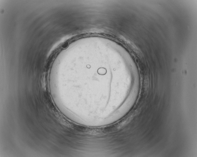 X0000086031262200704201937