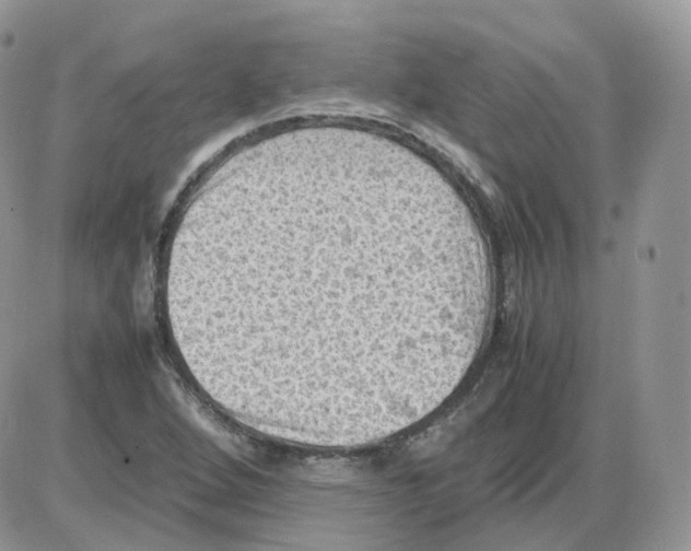 X0000086031264200704201937