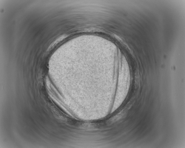 X0000086031265200704201937