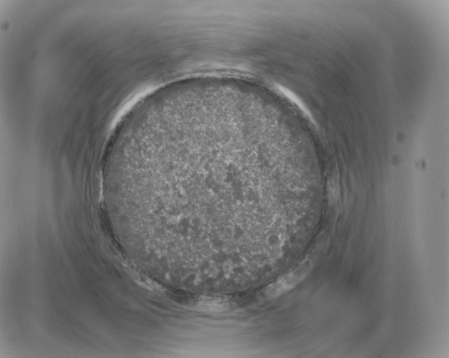 X0000086031267200704201937