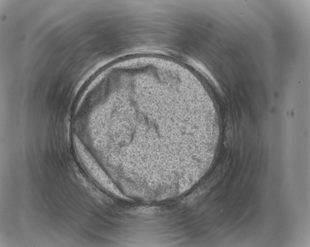 X0000086031268200704201937