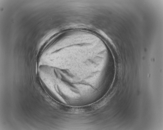 X0000086031269200704201937