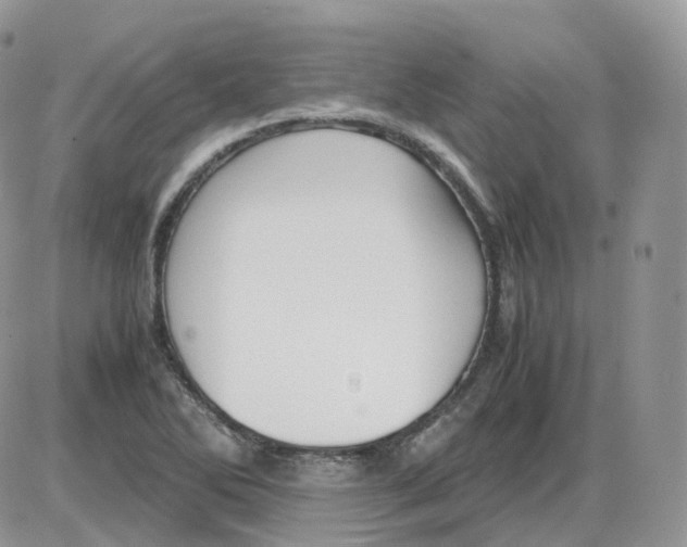 X0000086031270200704201937