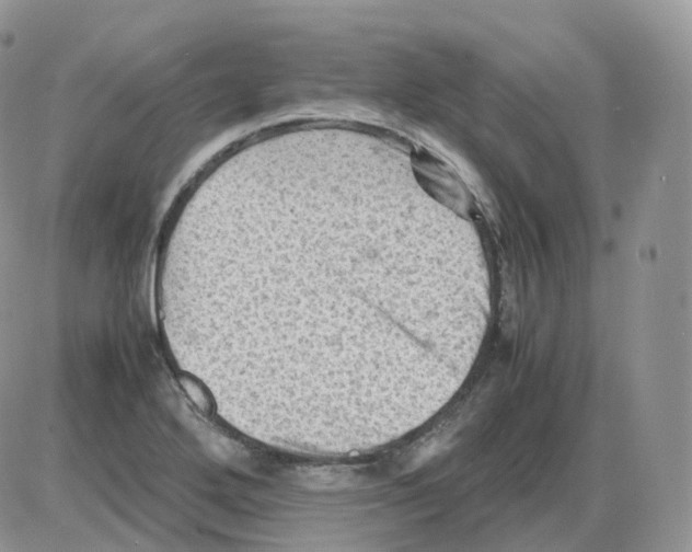 X0000086031272200704201937