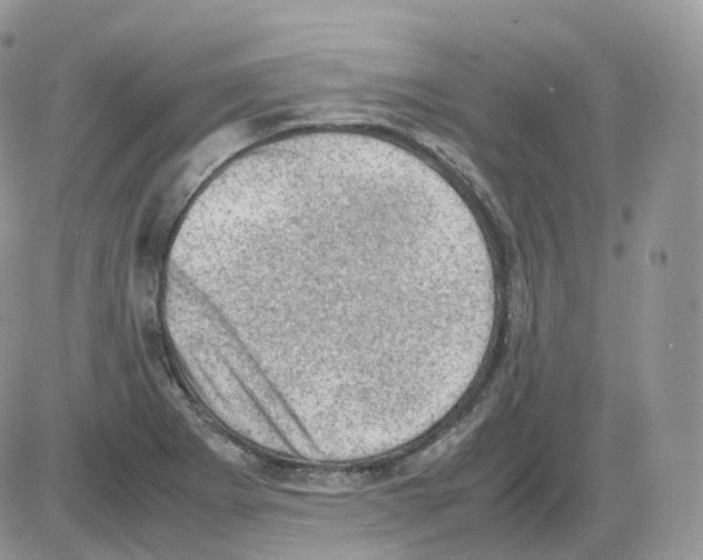 X0000086031273200704201937