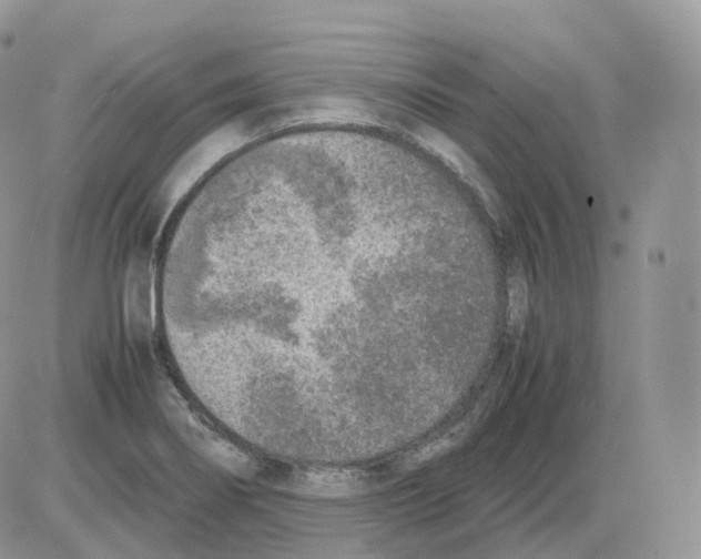 X0000086031274200704201937