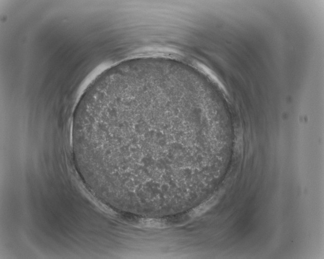 X0000086031275200704201937