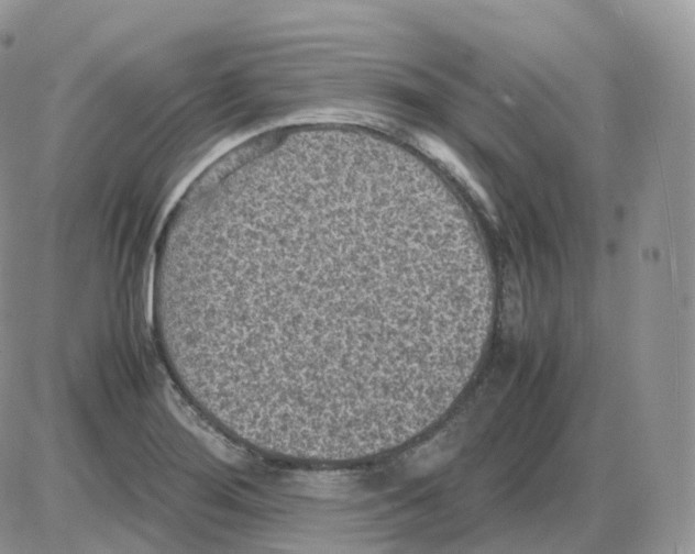 X0000086031276200704201937