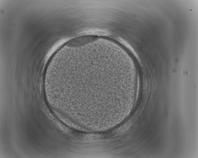 X0000086031277200704201937