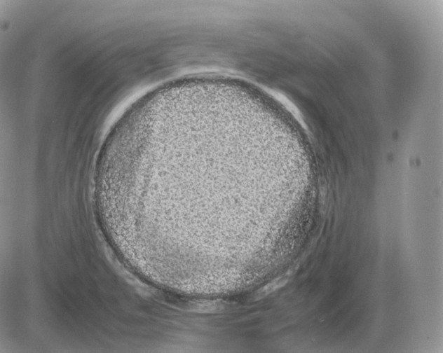 X0000086031279200704201937