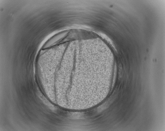 X0000086031280200704201937