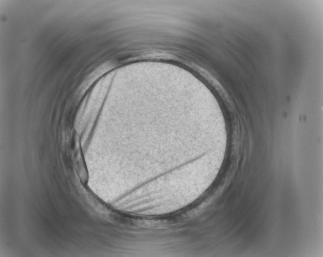 X0000086031281200704201937