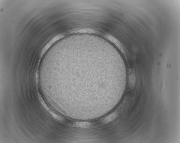 X0000086031282200704201937