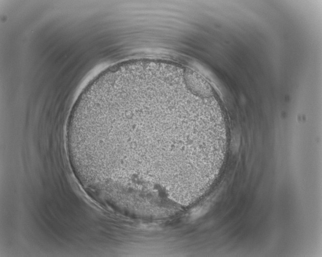 X0000086031283200704201937