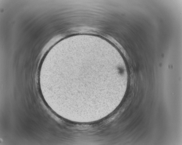 X0000086031285200704201937