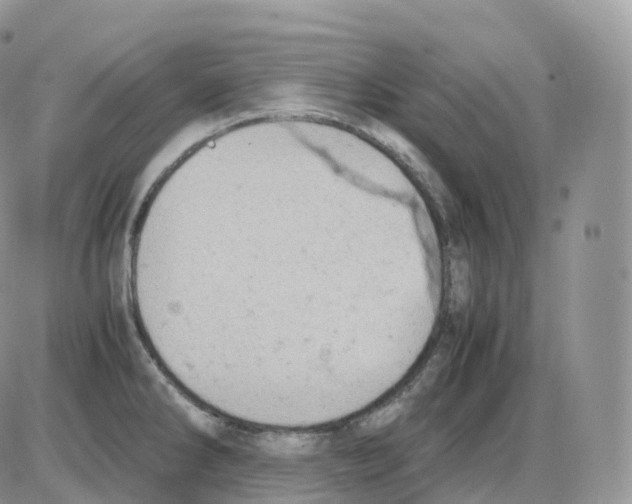 X0000086031286200704201937