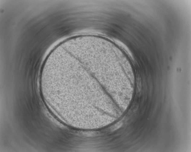 X0000086031288200704201937