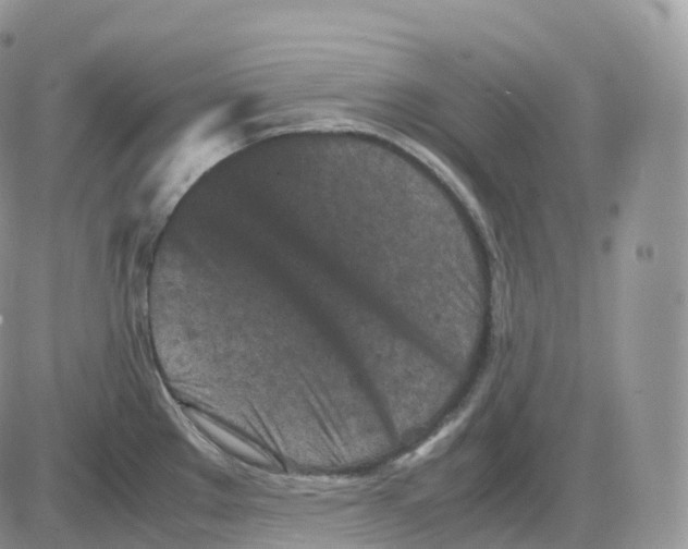 X0000086031289200704201937