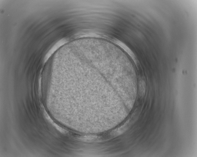 X0000086031290200704201937