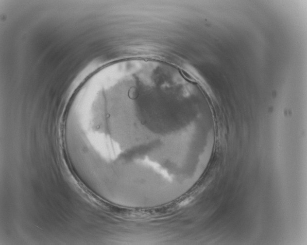 X0000086031291200704201937