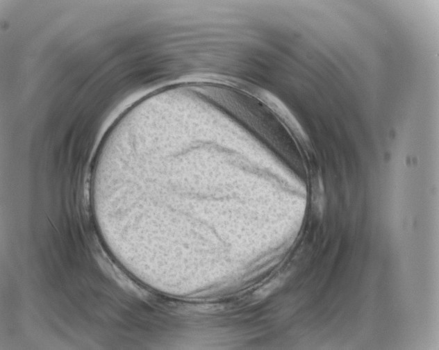 X0000086031292200704201937