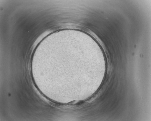 X0000086031293200704201937