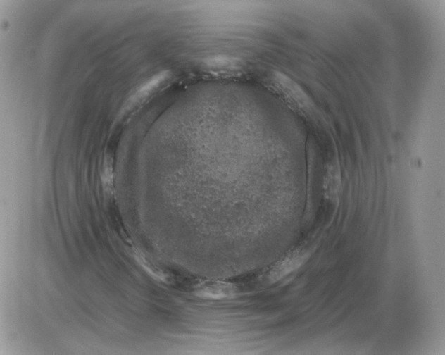 X0000086031298200704201936