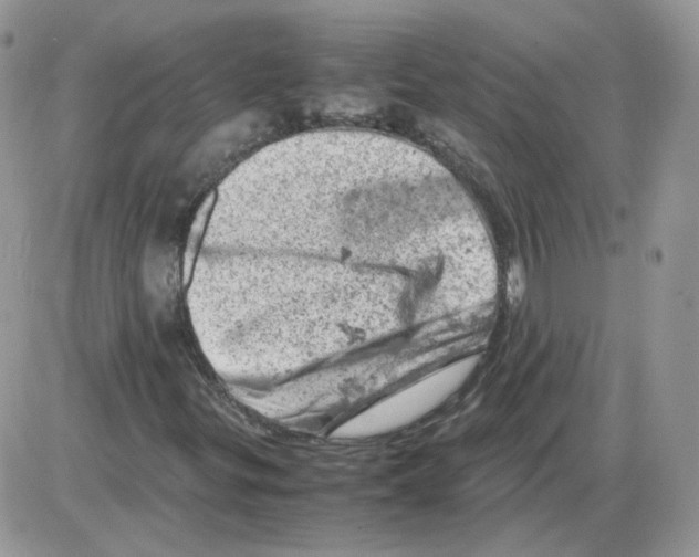 X0000086031299200704201936