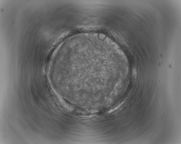 X0000086031300200704201936