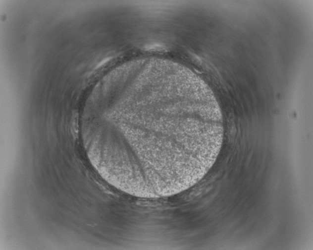 X0000086031301200704201936