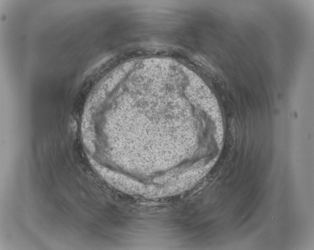 X0000086031302200704201936