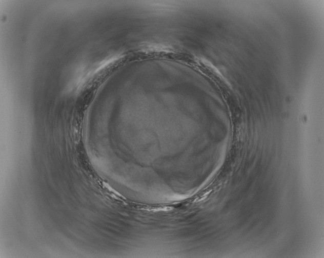 X0000086031303200704201936