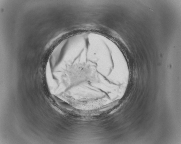 X0000086031304200704201936